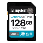 Kingston Canvas Go! Plus