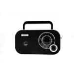 Camry Portable Radio